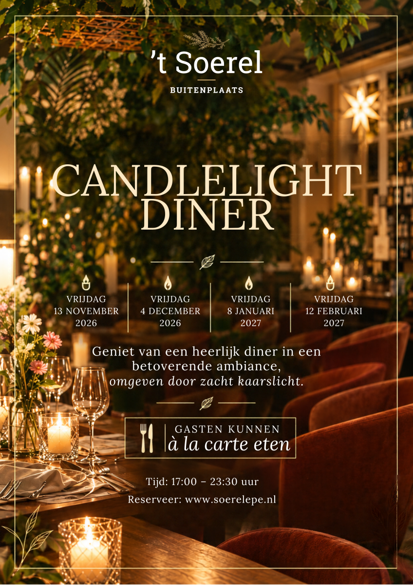 Tekstvelden Ontwerp Layout